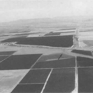 Maricopa CG